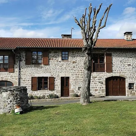 Du Platane * Grazac (Auvergne)